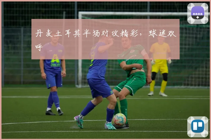 丹麦土耳其半场对攻精彩，球迷欢呼