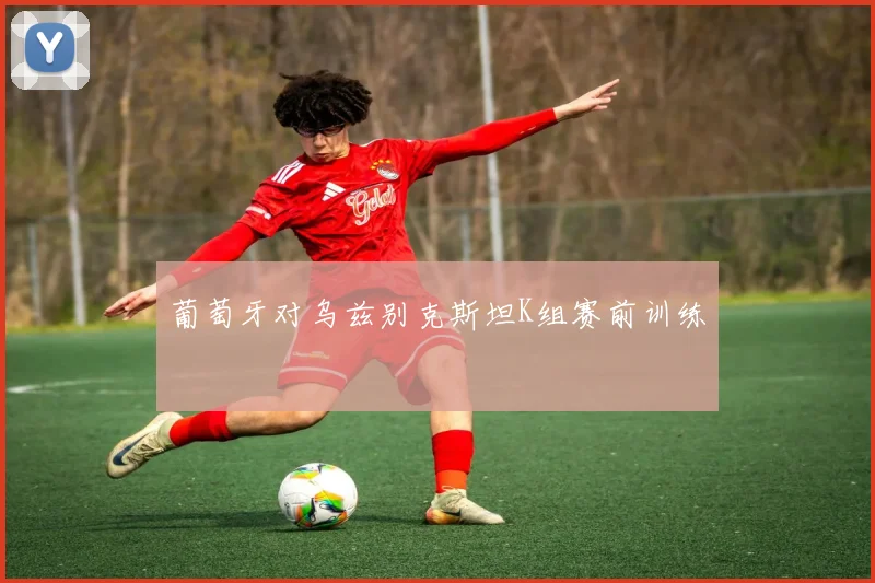 葡萄牙对乌兹别克斯坦K组赛前训练