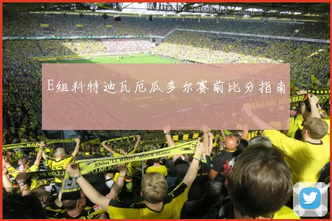 E组科特迪瓦厄瓜多尔赛前比分指南
