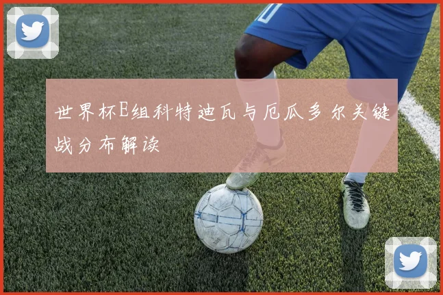 世界杯E组科特迪瓦与厄瓜多尔关键战分布解读