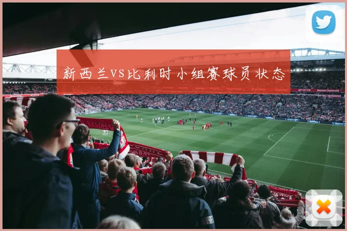 新西兰vs比利时小组赛球员状态