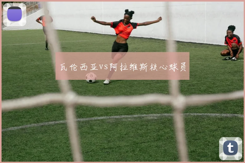 瓦伦西亚vs阿拉维斯核心球员