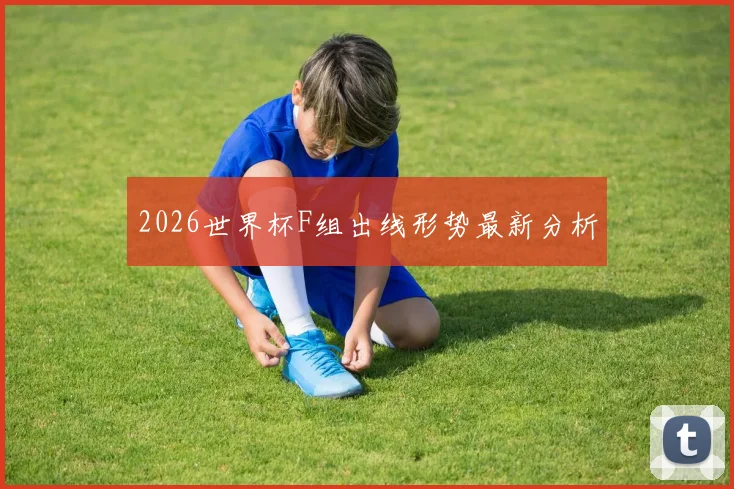 2026世界杯F组出线形势最新分析